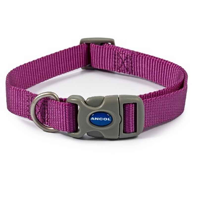 Ancol Viva Quick Fit Collar Prpl 20-30cm