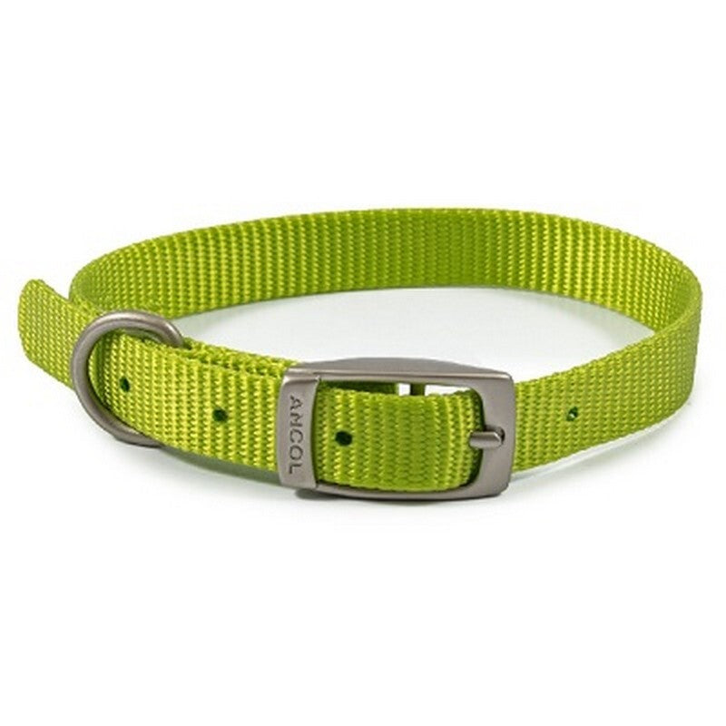 Ancol Viva Buckle Col Lime 20-26cm XXS