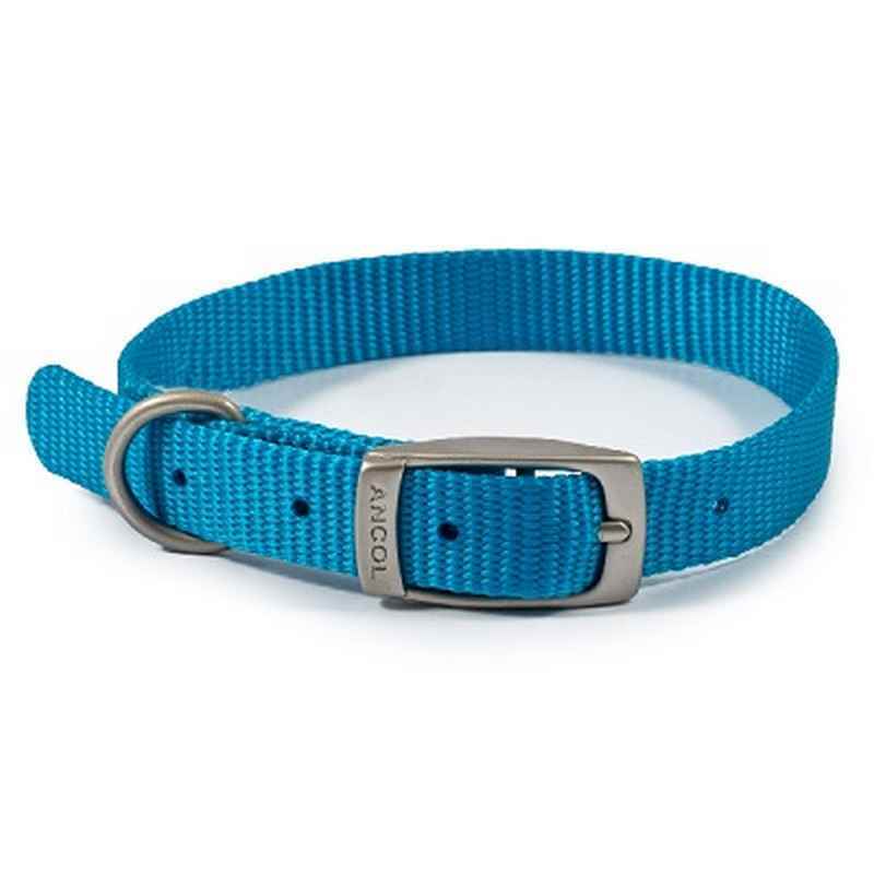 Ancol Viva Buckle Col Blue 20-26cm XXS