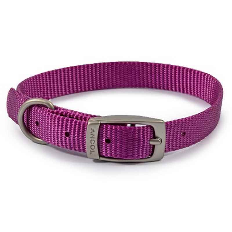 Ancol Viva Buckle Col Purple 20-26cm XXS