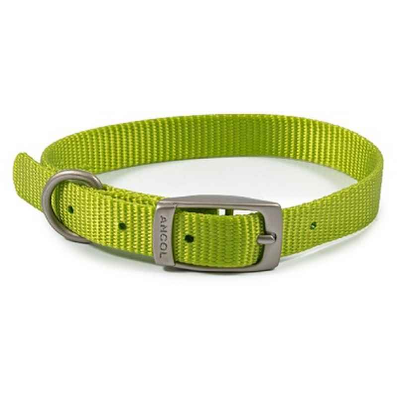 Ancol Viva Buckle Col Lime 26-31cm XS