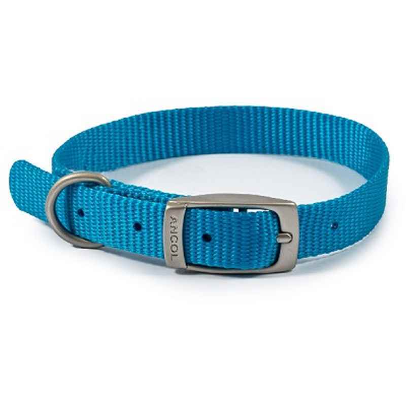 Ancol Viva Buckle Col Blue 26-31cm XS