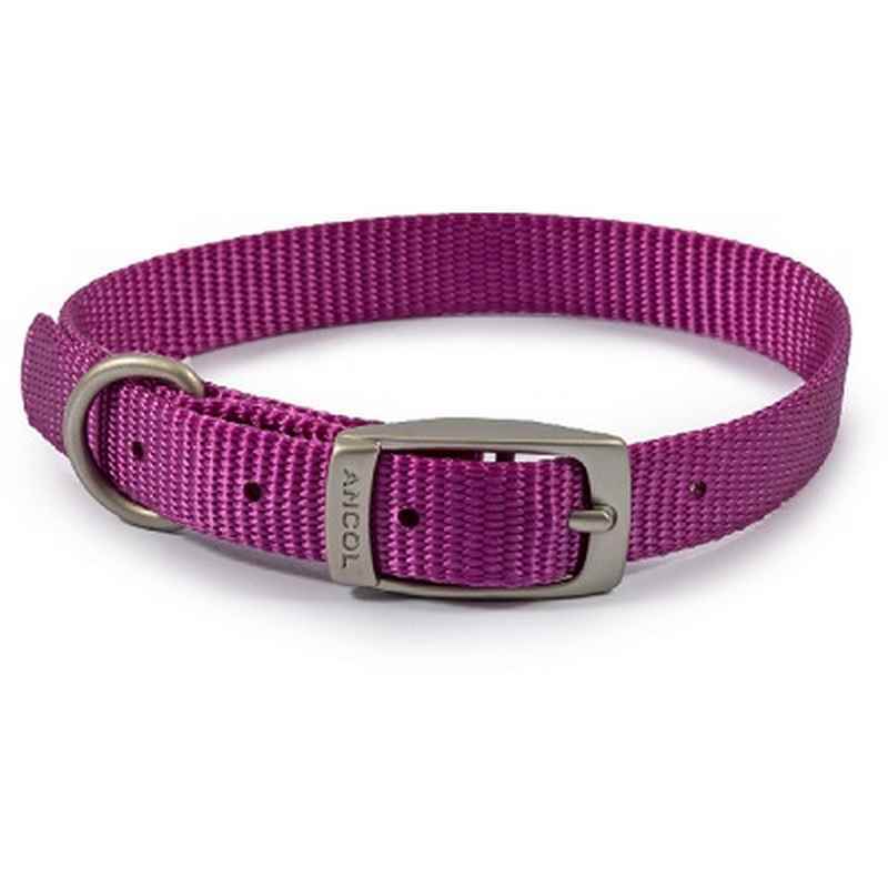 Ancol Viva Buckle Col Purple 26-31cm XS