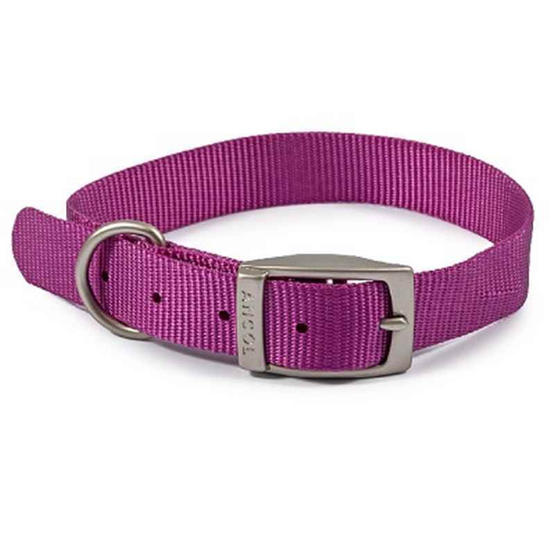 Ancol Viva Buckle Col Purple 28-36cm Sml