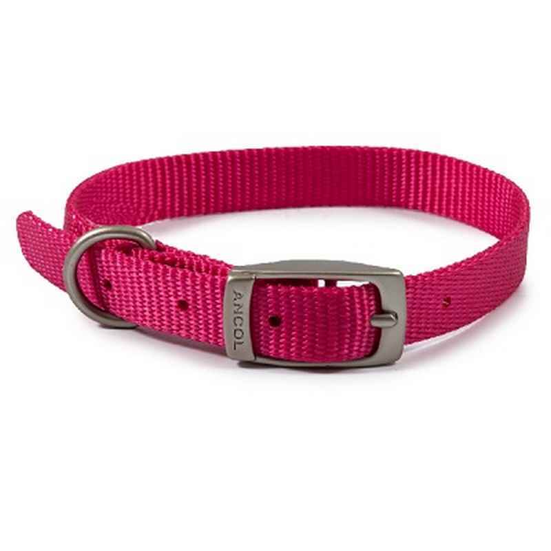 Ancol Viva Buckle Col Pink 26-31cm XS