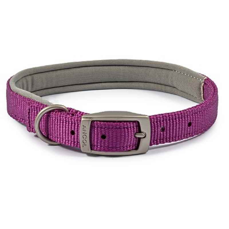 Ancol Viva Pad Buc Col Prpl 35-43cm Sml