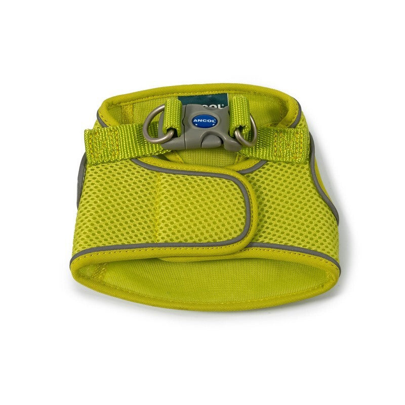 Ancol Viva Step In Harn Lime 35-42cm S