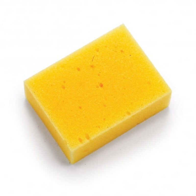 Lincoln Economy Sponge L x20
