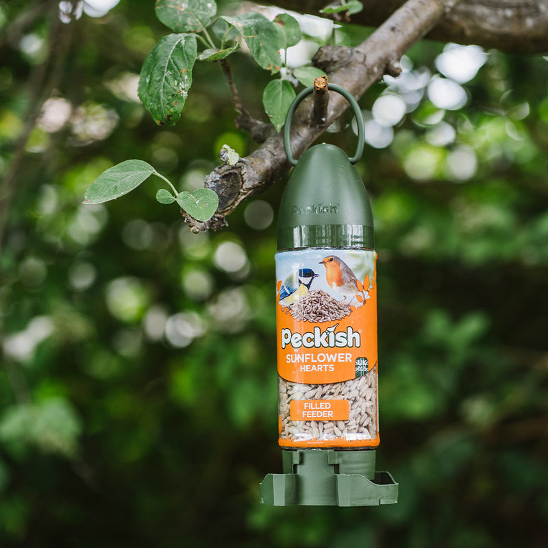 Peckish Sunflower Hearts Filled Feeder