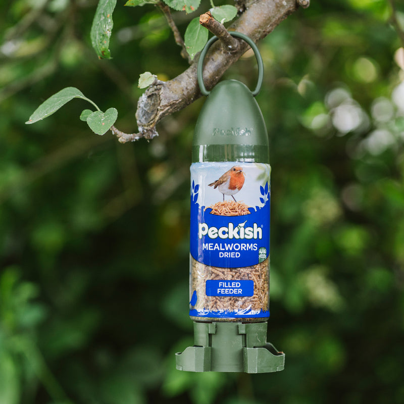 Peckish Mealworms Filled Feeder