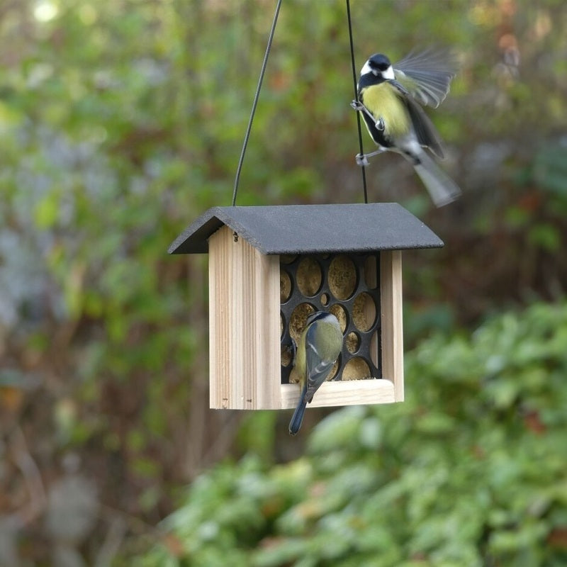 Peckish Woodland Suet Cake Feeder