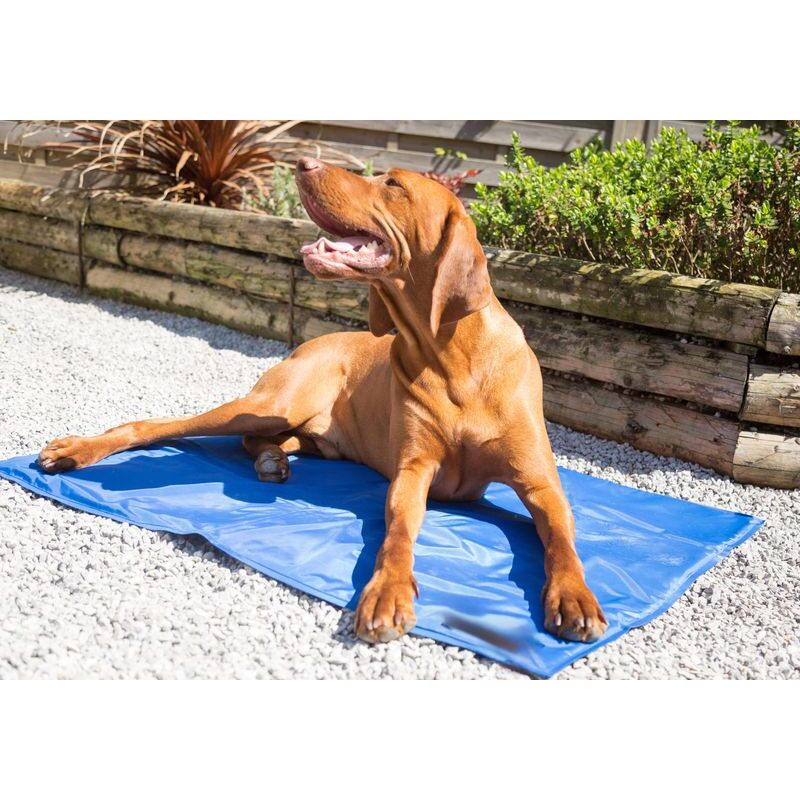 DD Pet Cooling Mattress Large 70x110cm