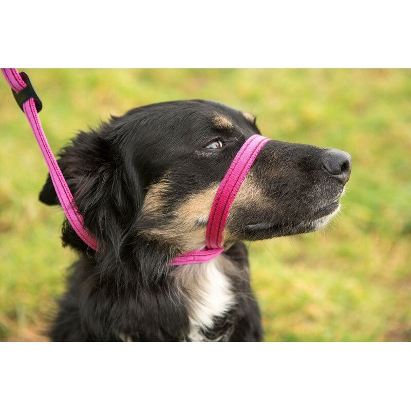 Gencon All In1 Clip to Collar Left Black