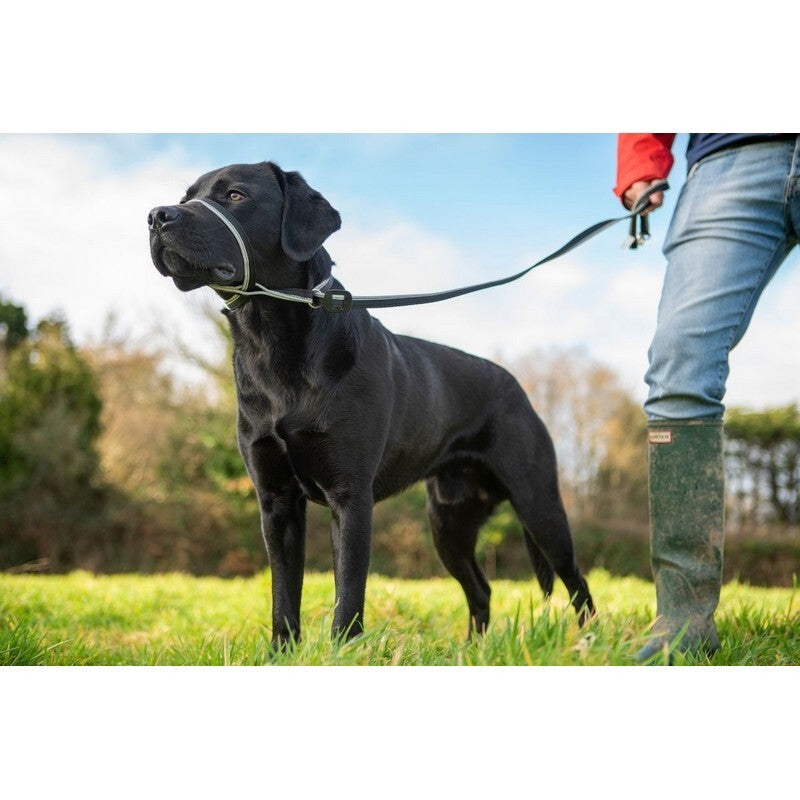 Gencon All In1 Clip to Collar Left Refl