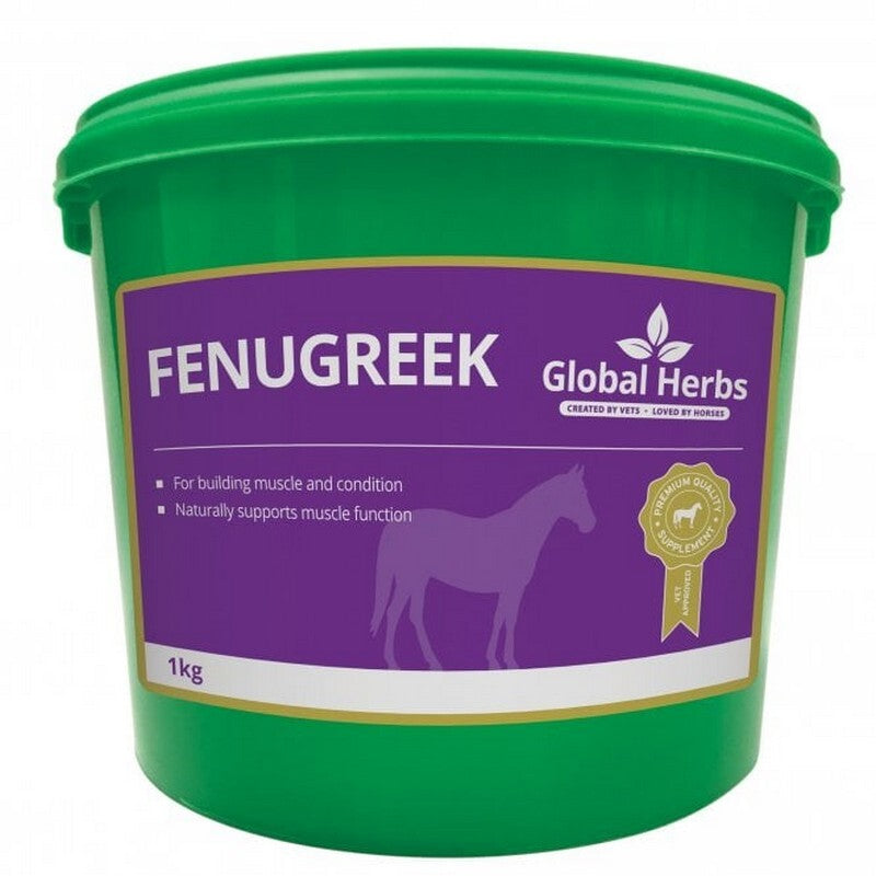 Global H Fenugreek Seed 1 kg
