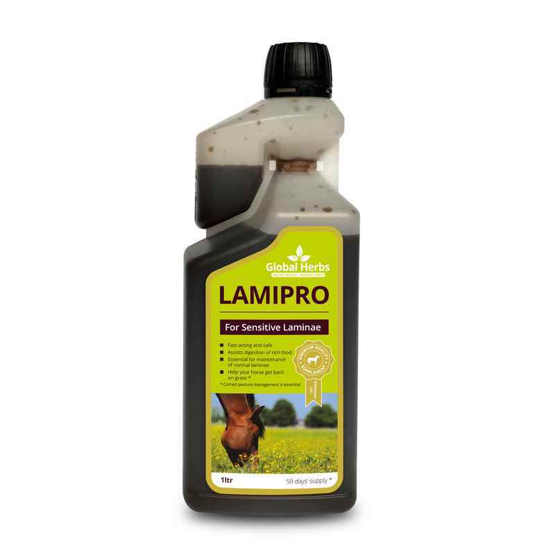 Global H LamiPro Liquid 1 L