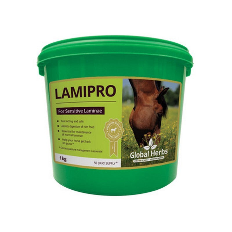 Global H LamiPro 1 kg