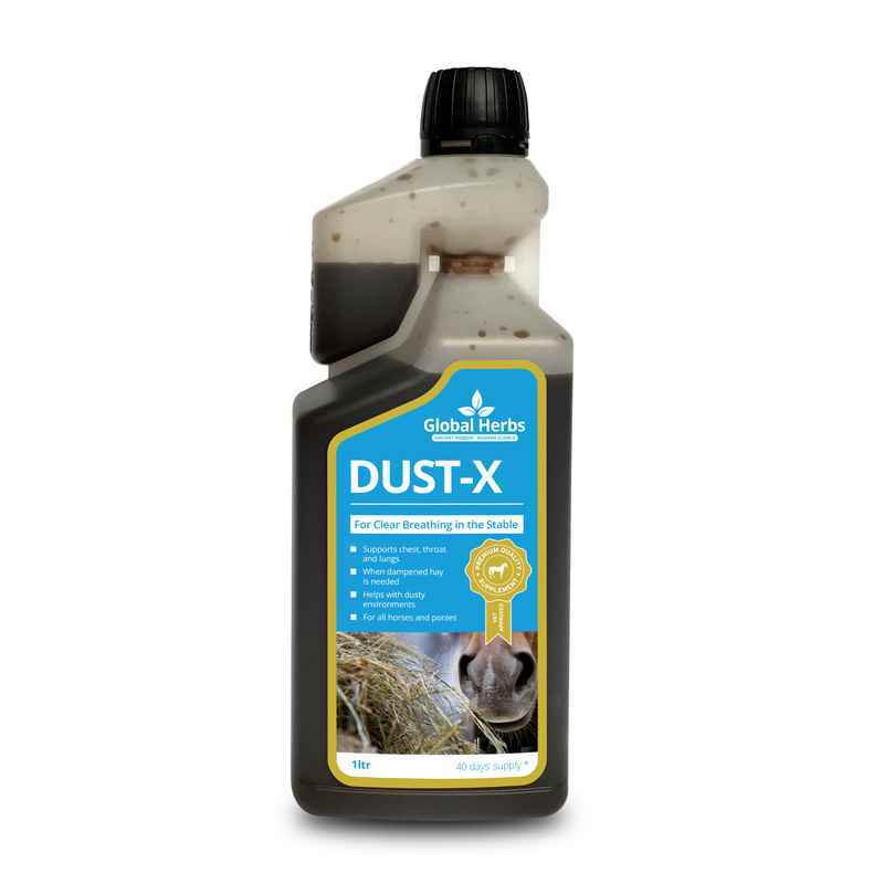Global H Dust-X Syrup 1 L