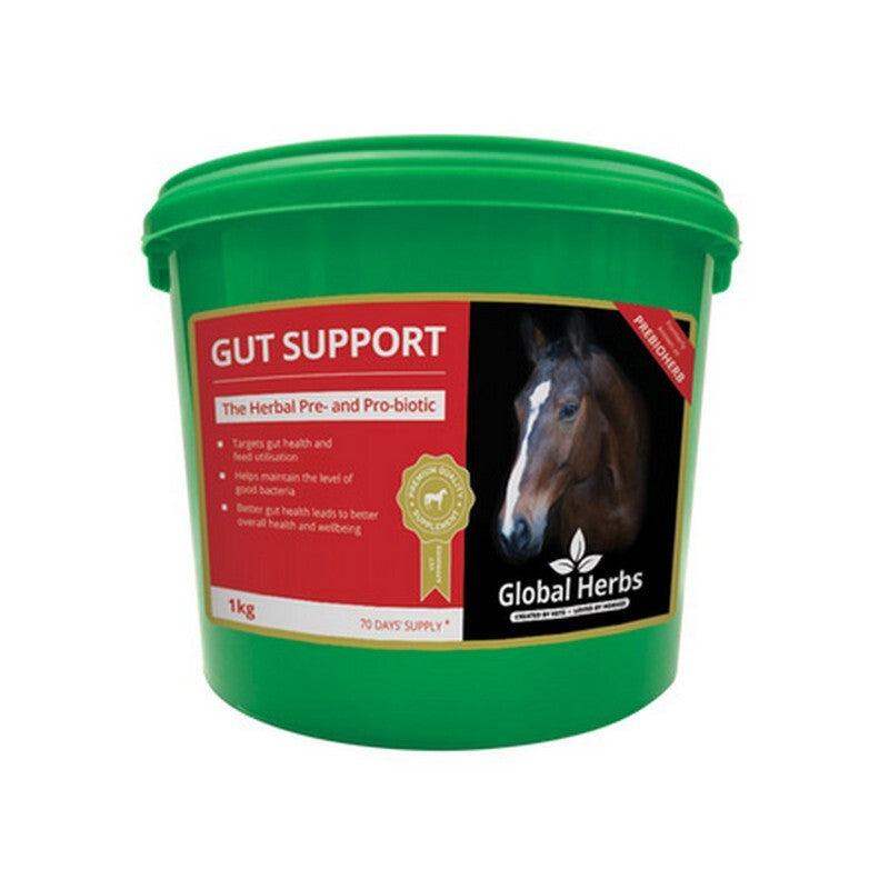 Global H Gut Support 1 kg