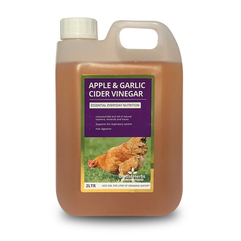 Global H Apple&Garl Cider Vinegar(C) 2L