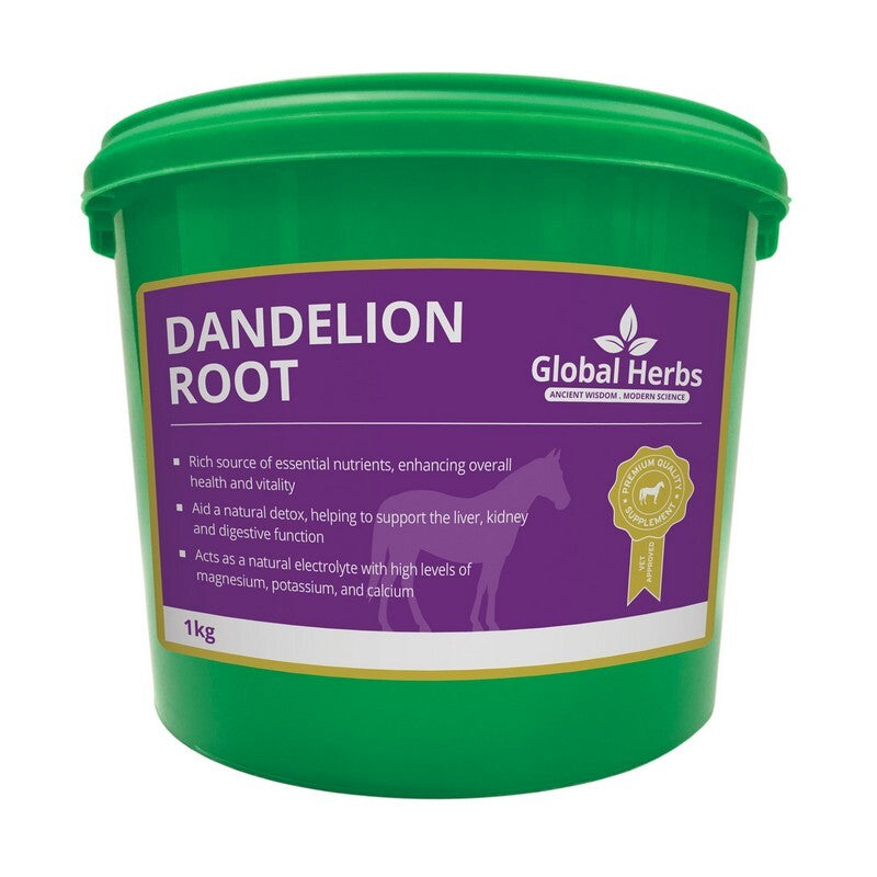 Global H Dandelion Root 1 kg