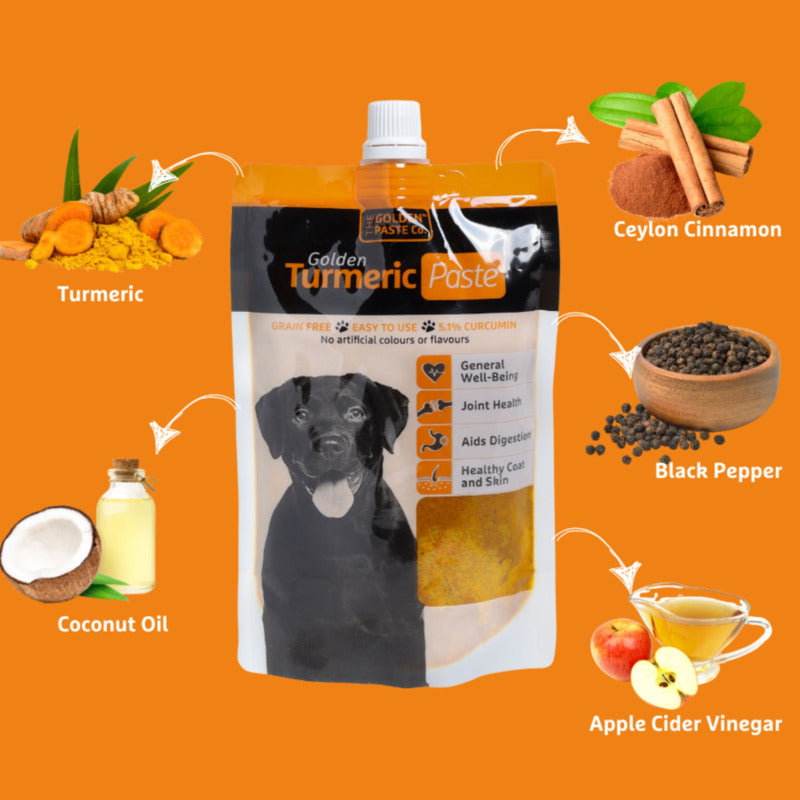 Golden Turmeric Paste for Pets 100 g