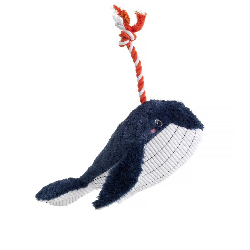 HOP Under the Sea Blue Whale