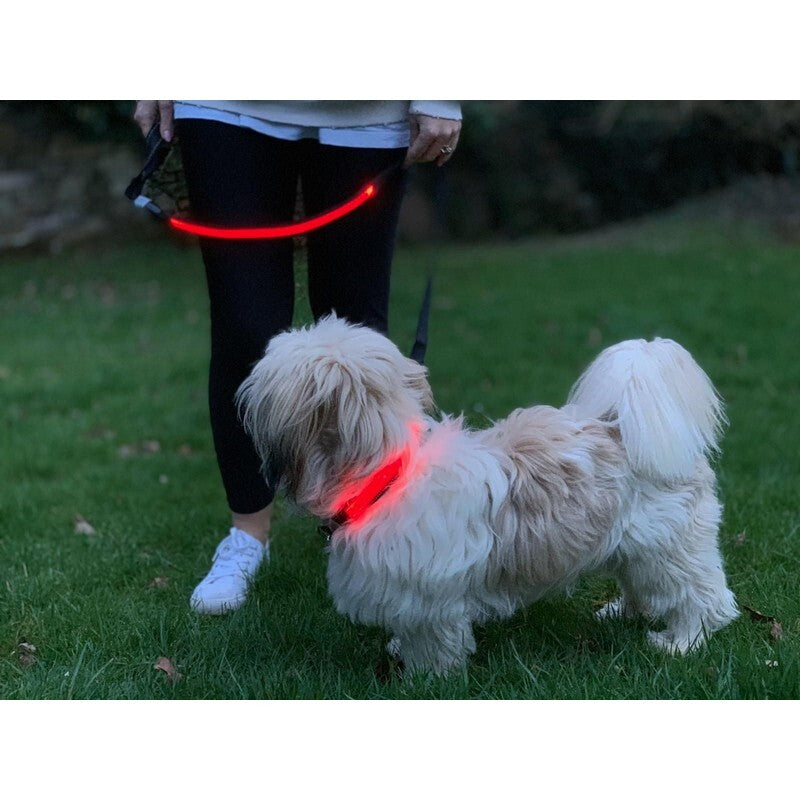 Lilly & Jake LED Lead Red