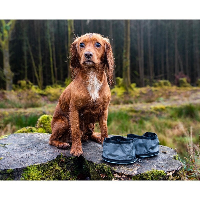 Henry Wag Snaffle Pack Bowl Set