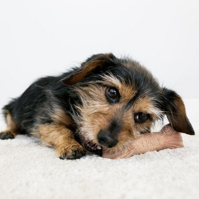 Kong ChewStix Stick Medium