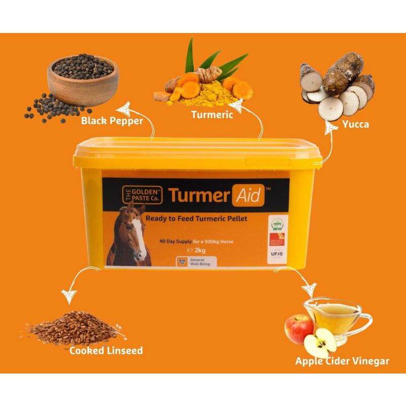 Golden Paste TurmerAid 2 kg