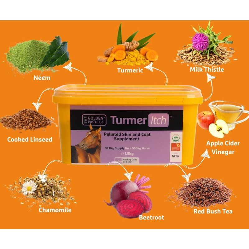 Golden Paste TurmerItch 1.5 kg