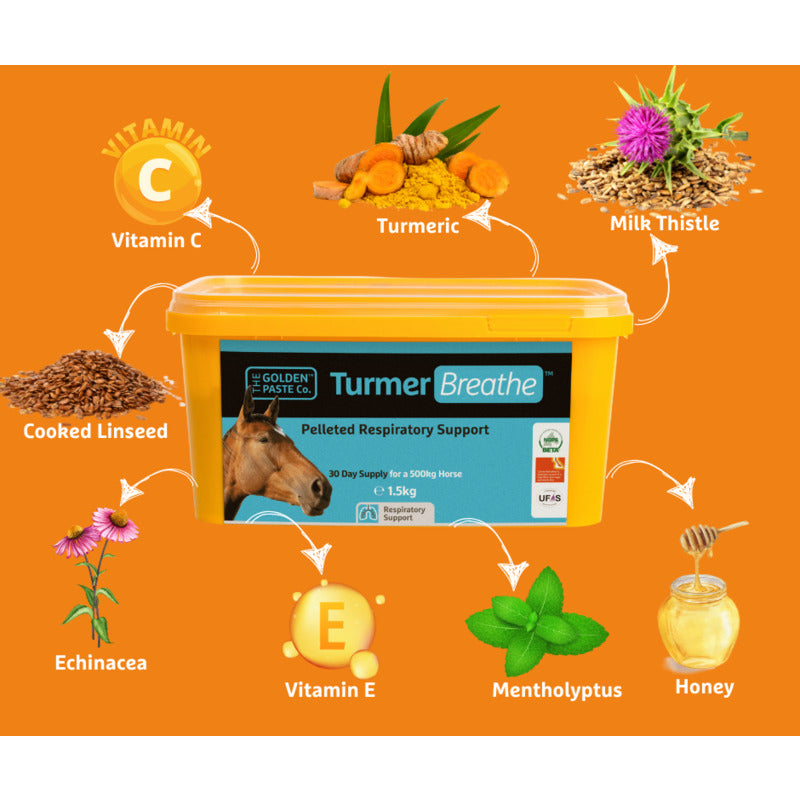 Golden Paste TurmerBreathe 1.5 kg
