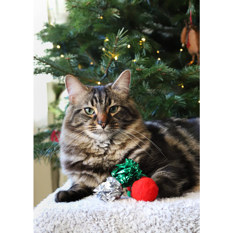 Xmas Cat Christmas Toy Stocking