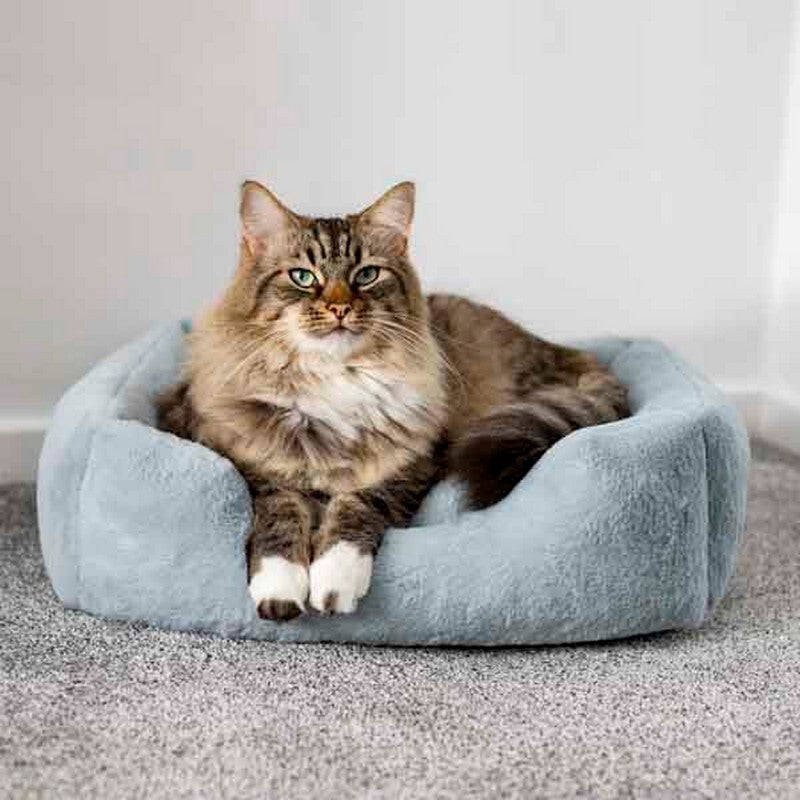 Rosewood 40 Winks Fur Blue Box Bed Small