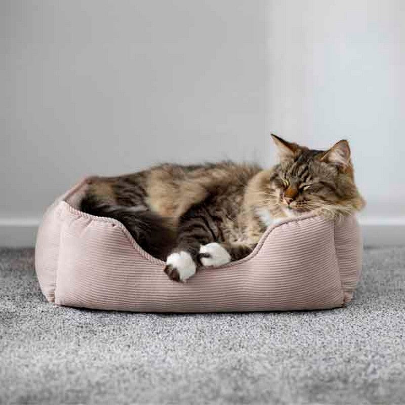 Rosewood 40 Winks Cord Square Bed Small