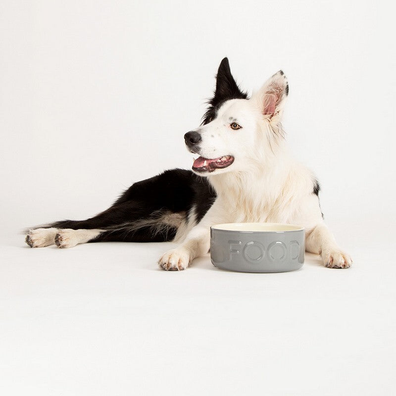 Scruffs Classic Grey Food Bowl 15cm