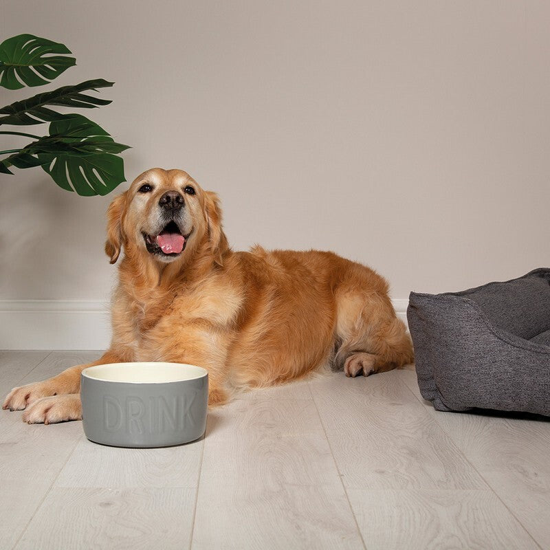 Scruffs Classic Grey Water Bowl 20cm