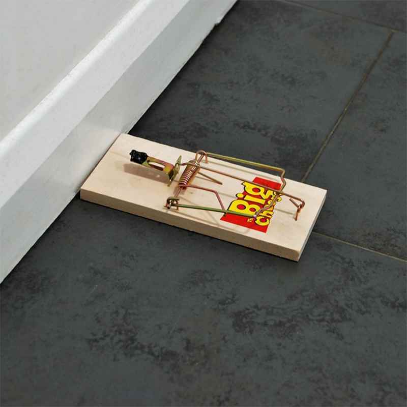 Big Cheese Wooden Mouse Trap 4pack