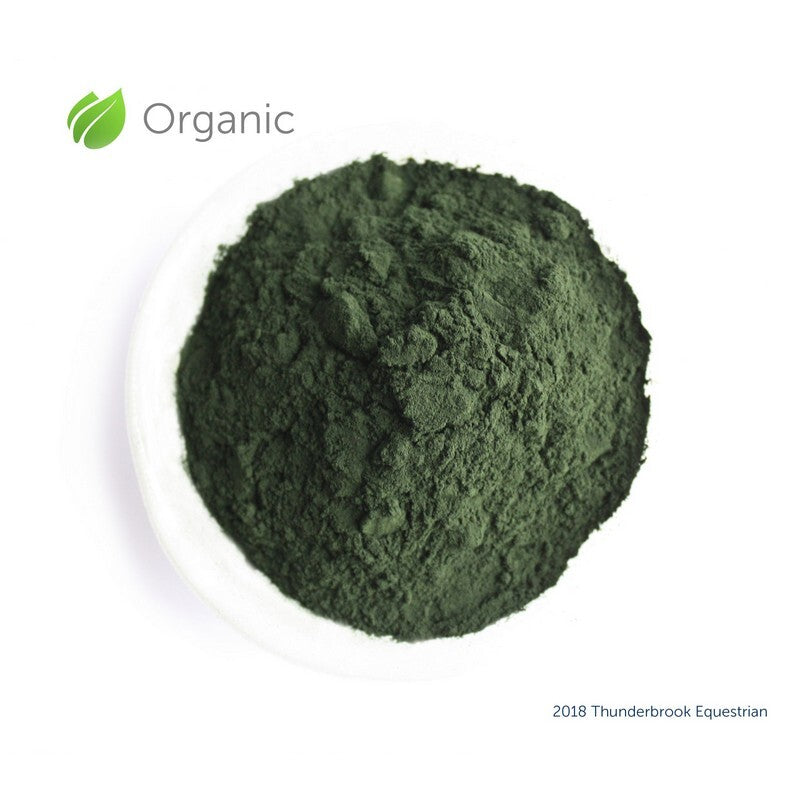 Thunderbrook Org Spirul Pratensis 1kg