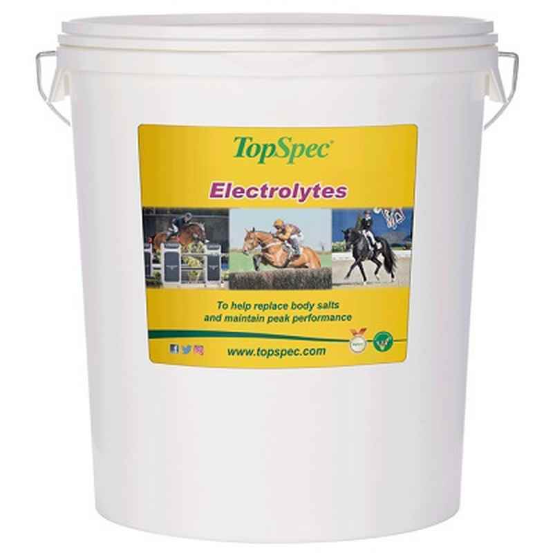 TopSpec Electrolytes 20 kg