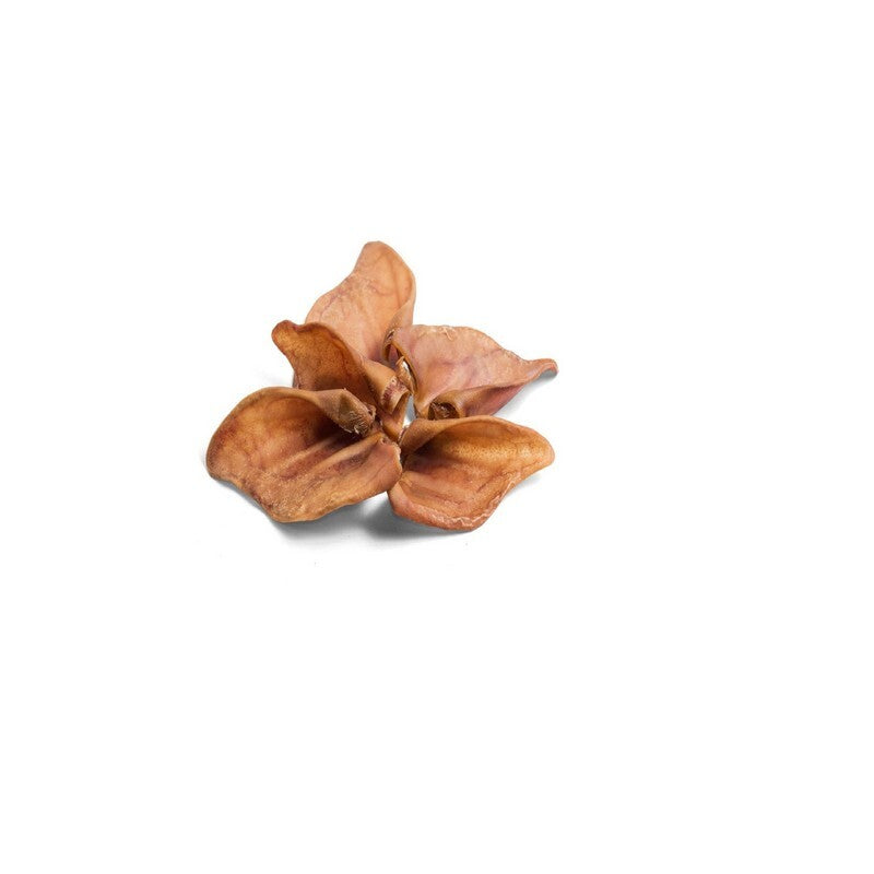 Nova Dog Chews Pig Ears Medium 50 Box