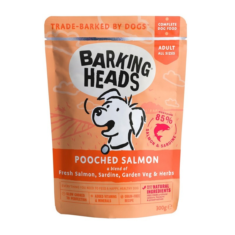 Barking Head Wet Pooch Salm 300gx10