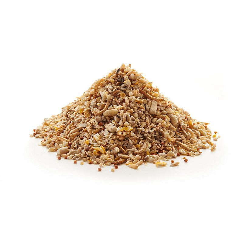 Peckish Robin Insect Mix 2 kg