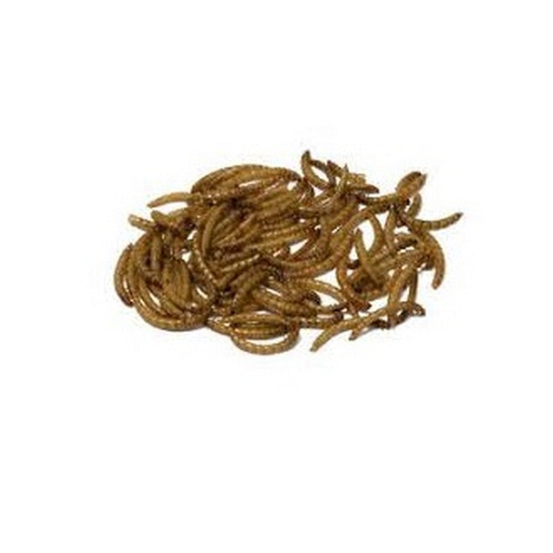 Bucktons Mealworms 12.55k