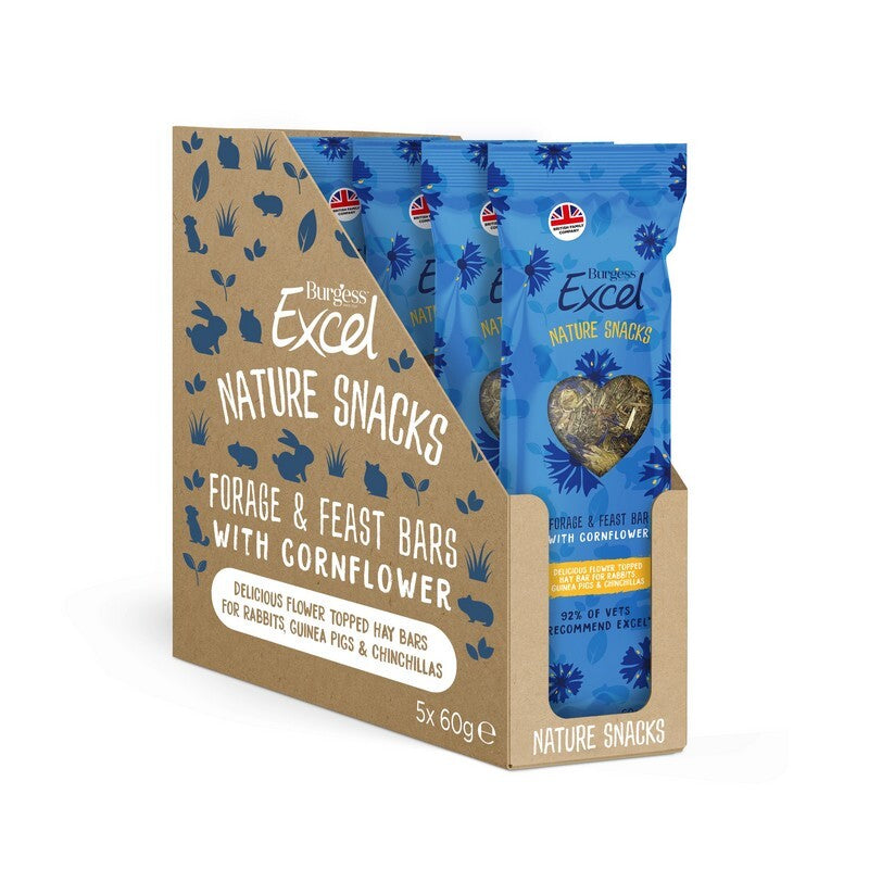 Burgess Excel Nat Snack CornF Bars 60gx5