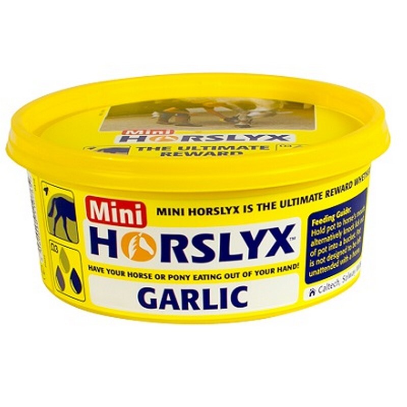 Horslyx Minilick Garlic (650gx12)