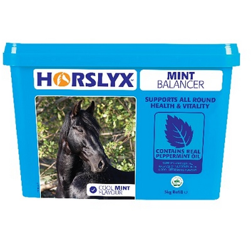 Horslyx Mint Lick Refill 5 kg