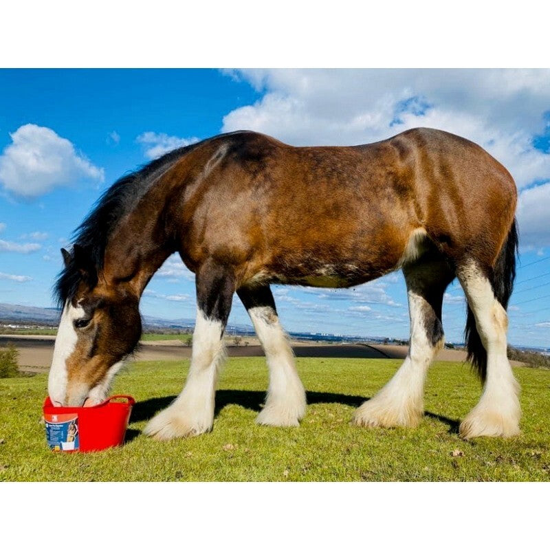 DK Equine Flexi Tub For Digestion 12.5kg