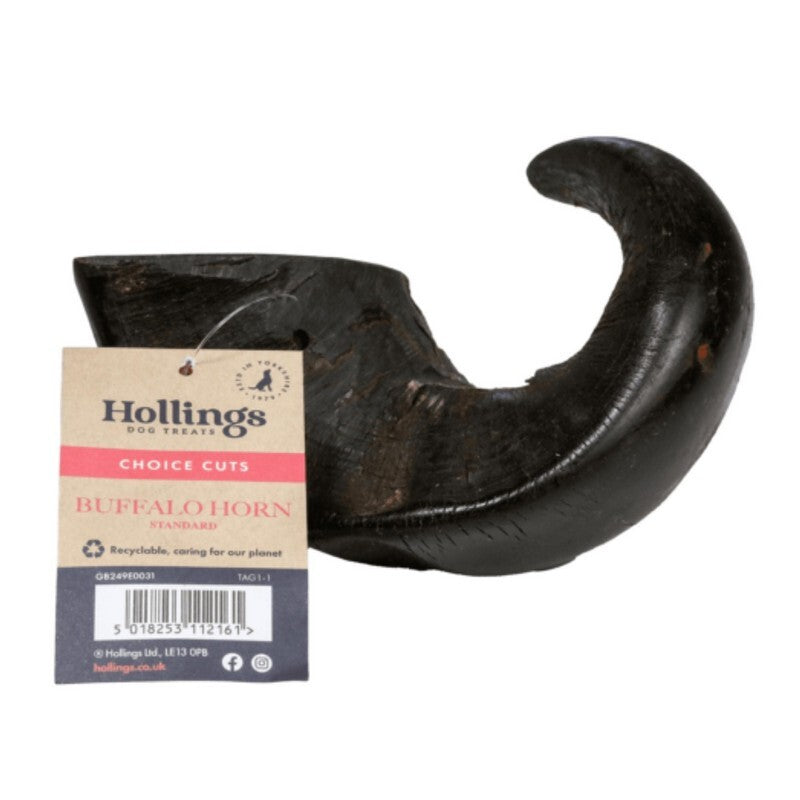 Hollings Buffalo Horn Standard D/B x12